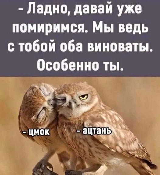 ���������� #2311021