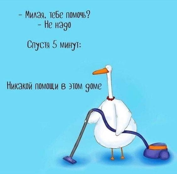 ���������� #2311022