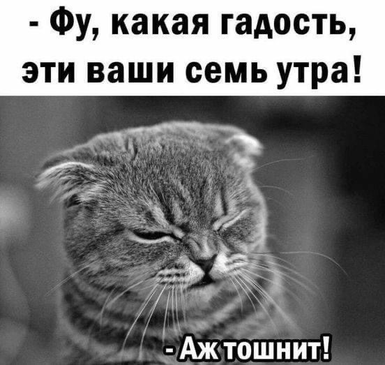 ���������� #2311023