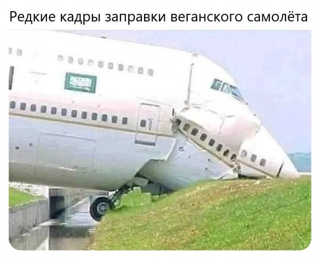 ���������� #2311214