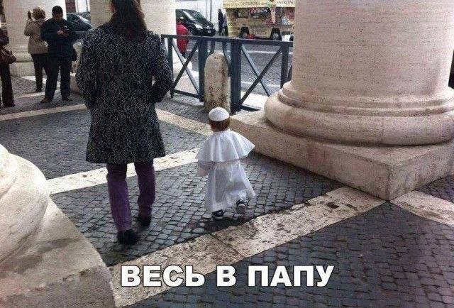 ���������� #2311215