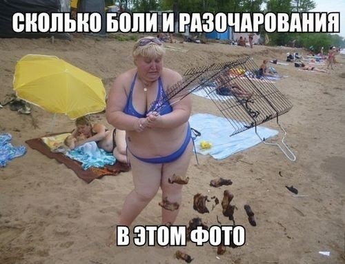 ���������� #2311218