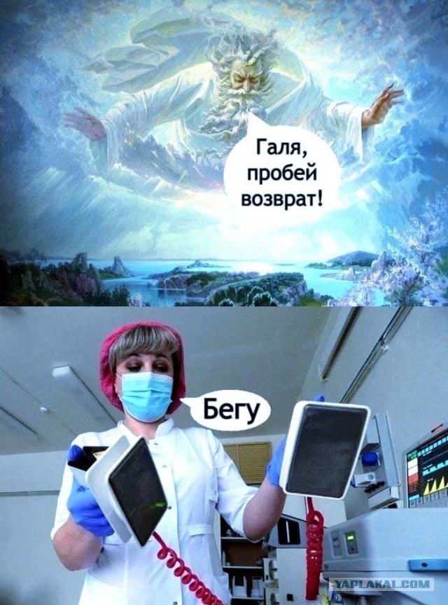 ���������� #2311220