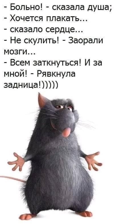 ���������� #2311372