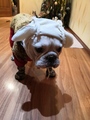 ������