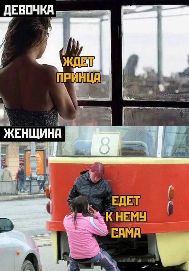 ���������� #2310244