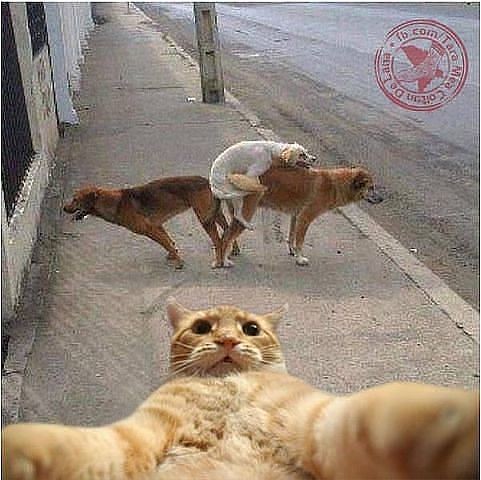 )