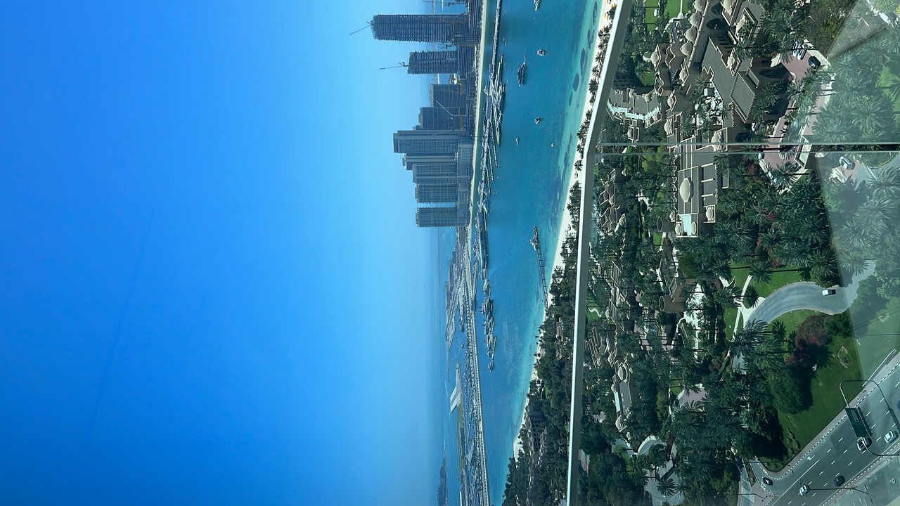 ���������� #2312218