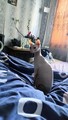 ������ :)