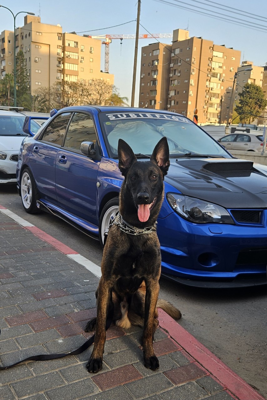 ���������� #2312326