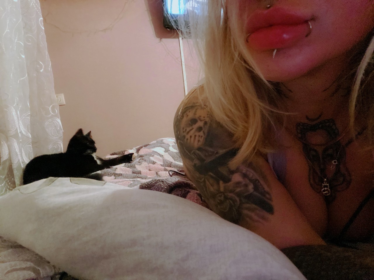 ���������� #2312701