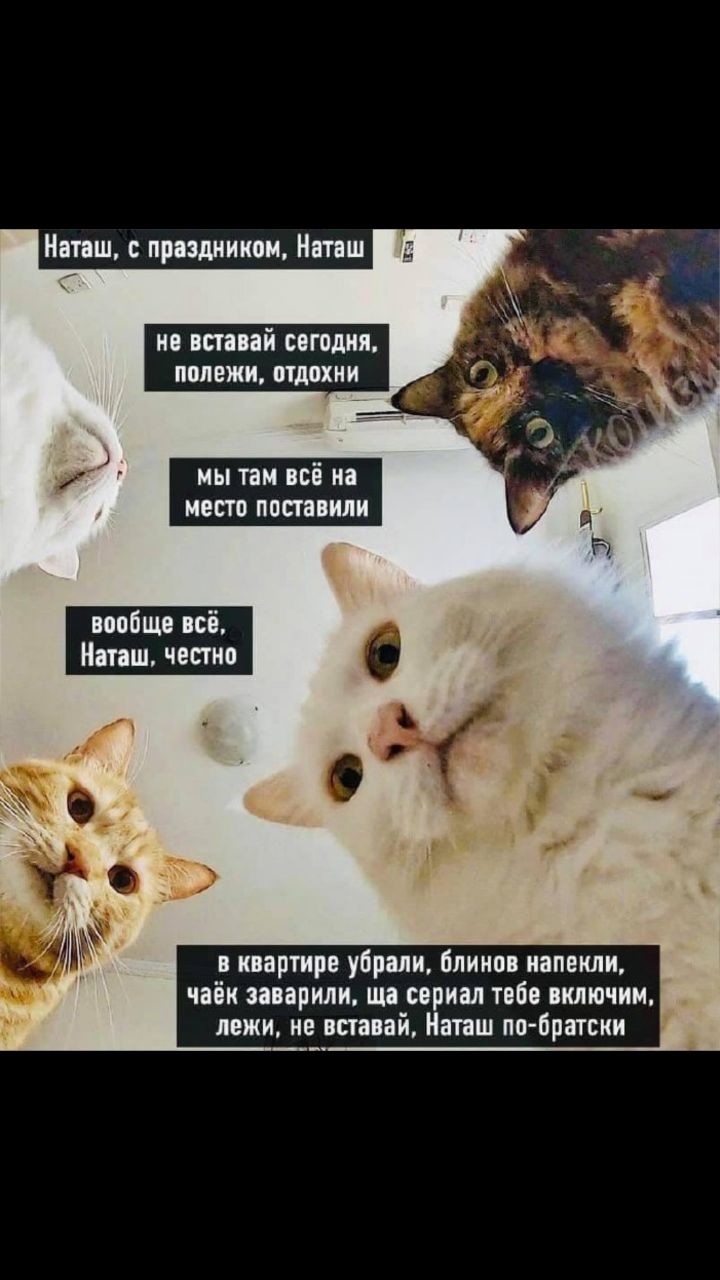 ���������� #2310390