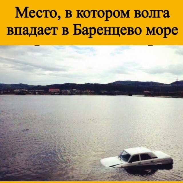 ���������� #2313347