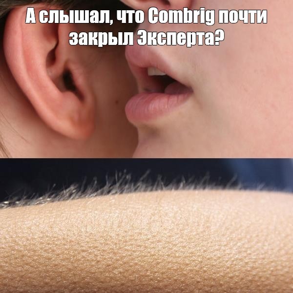 ���������� #2313716