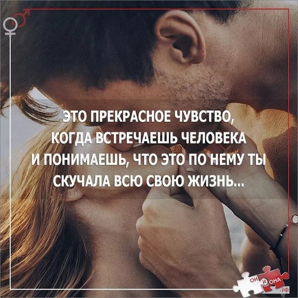 ���������� #2313918
