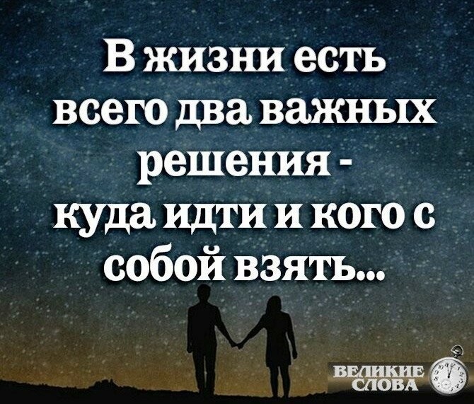 ���������� #2313919