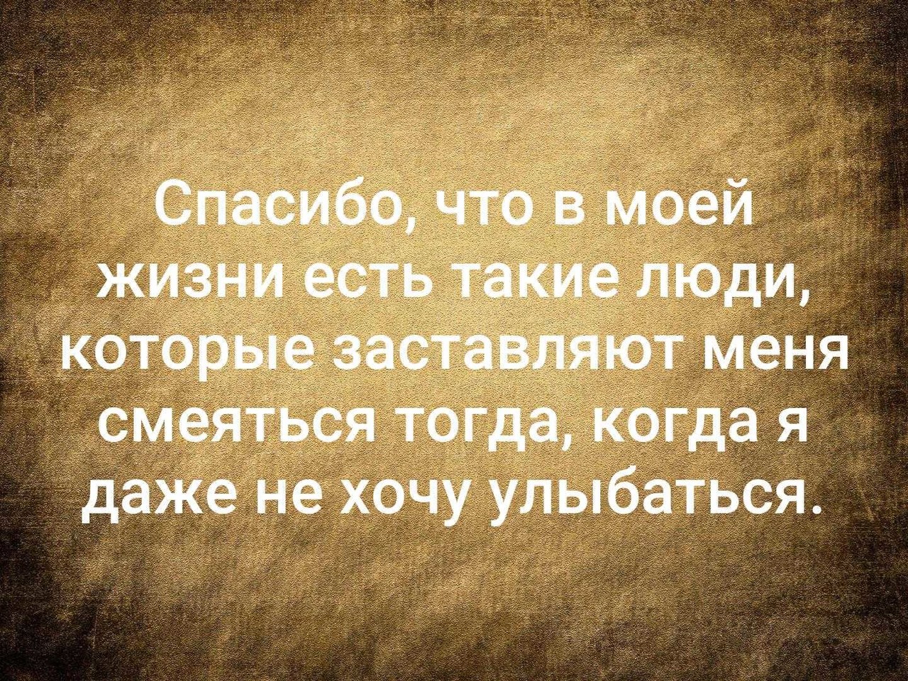 ���������� #2313920