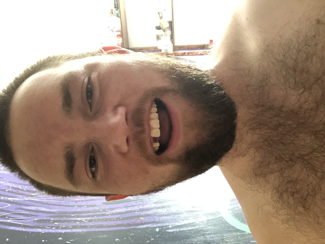���������� #2310484