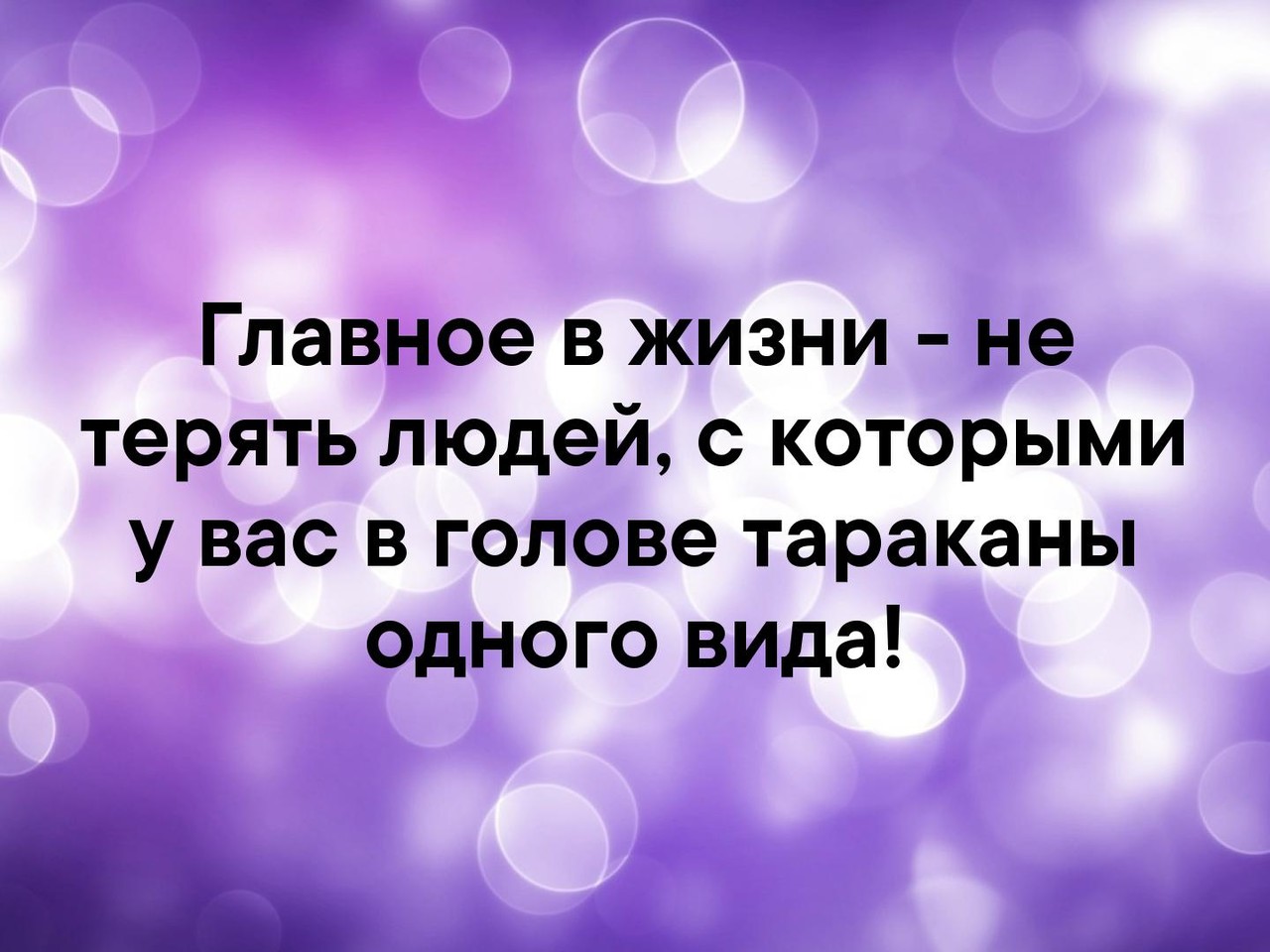 ���������� #2314015
