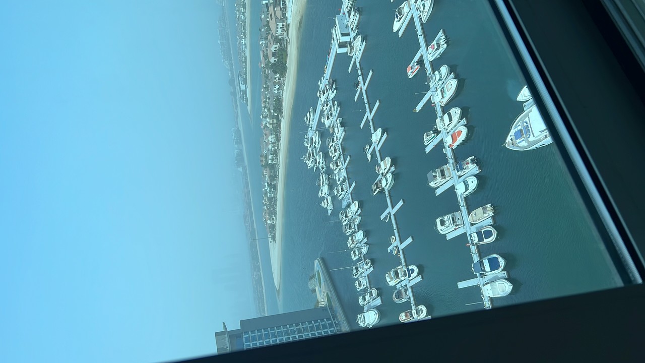 ���������� #2314155