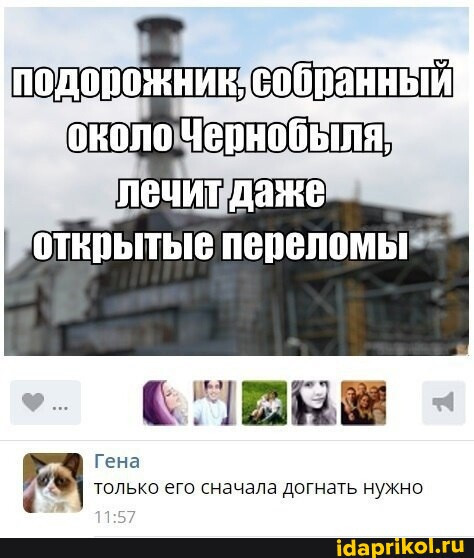 ���������� #2314198