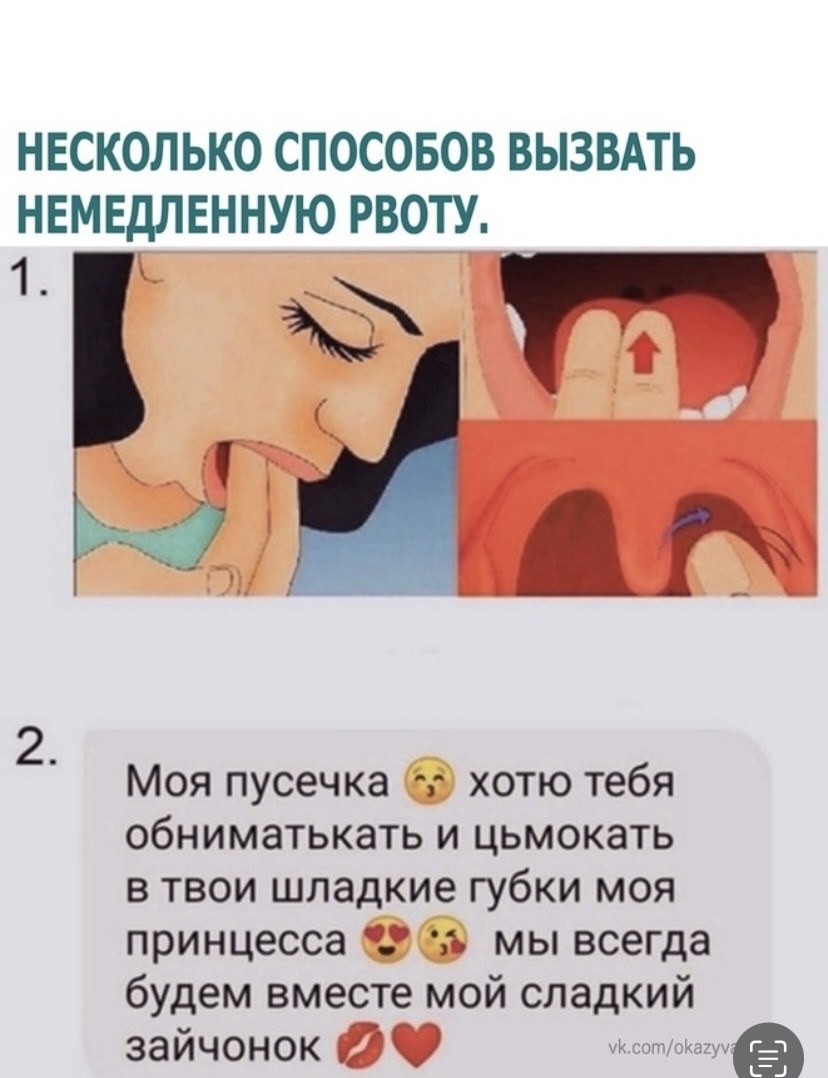 ���������� #2314604