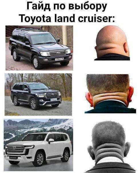 ���������� #2314749