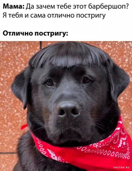 ���������� #2314752