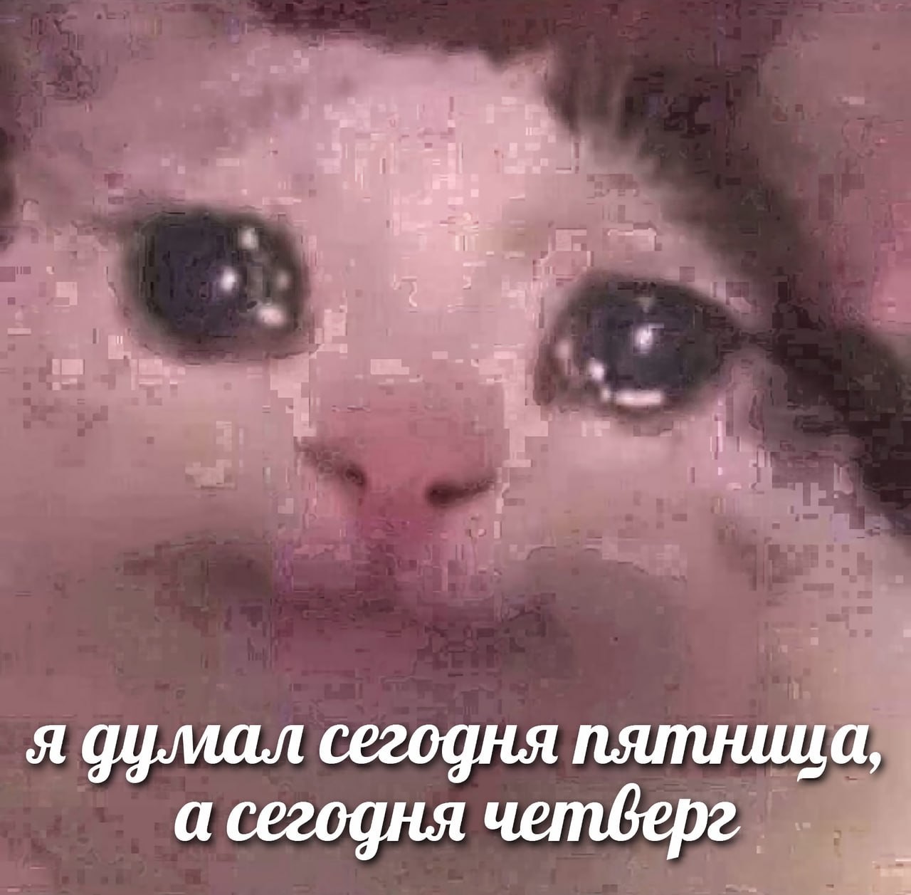���������� #2314836