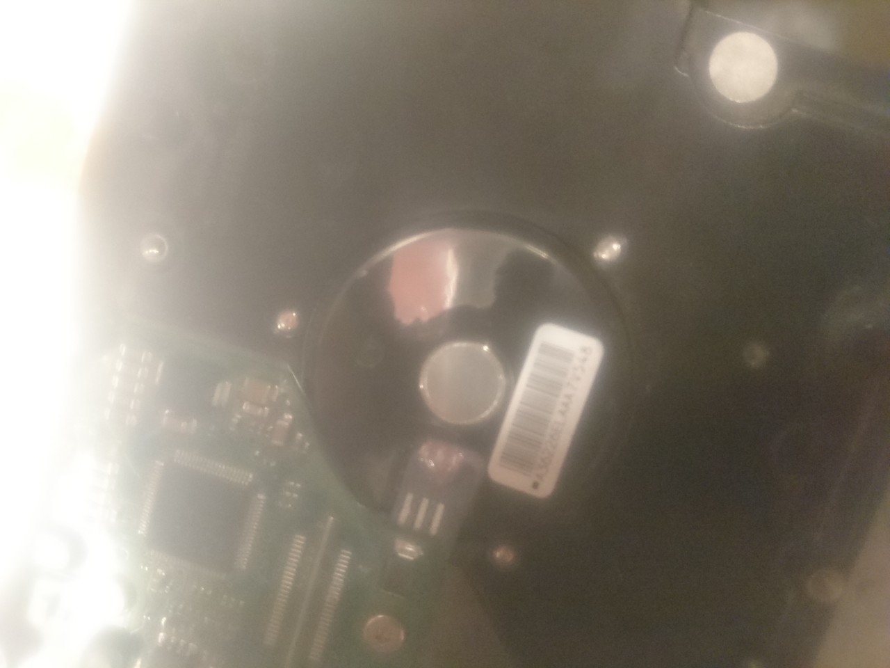 ���������� #2310581