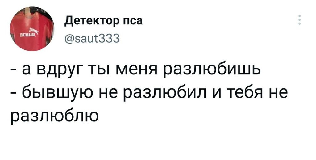 ���������� #2315843