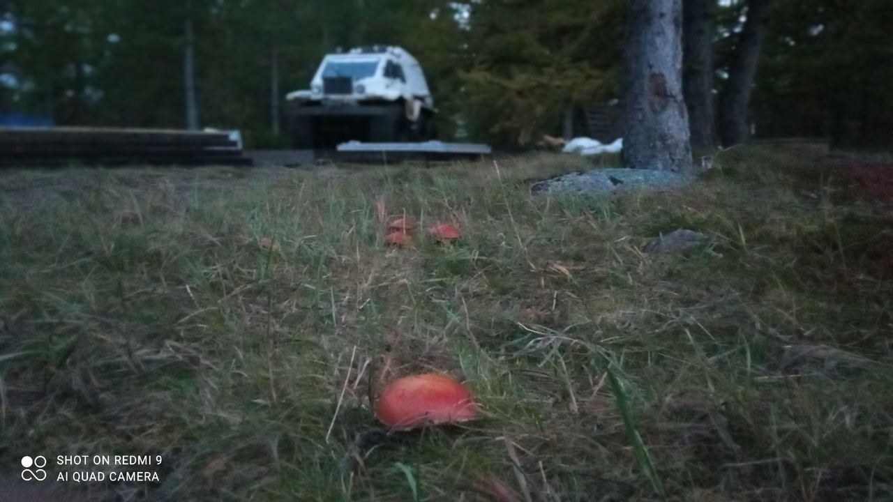 ���������� #2315904