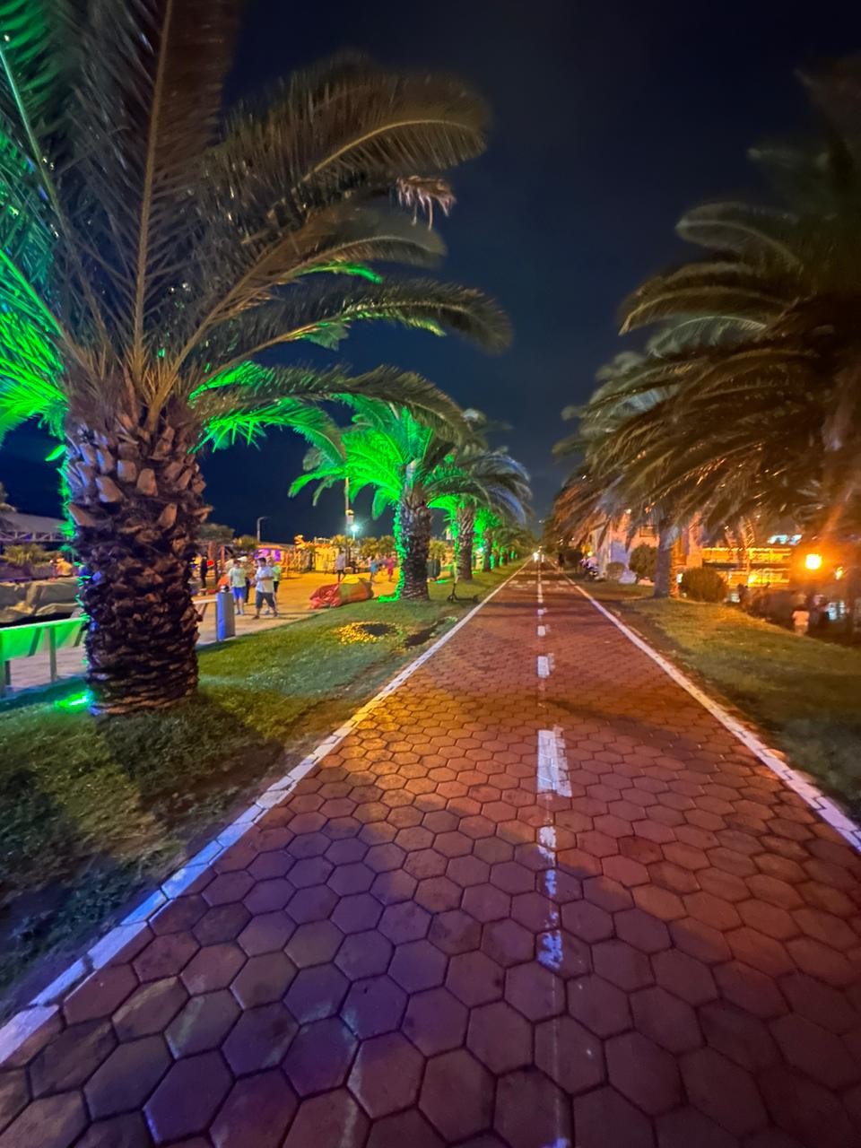 ���������� #2316031