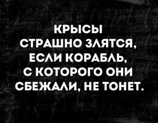 ���������� #2316266