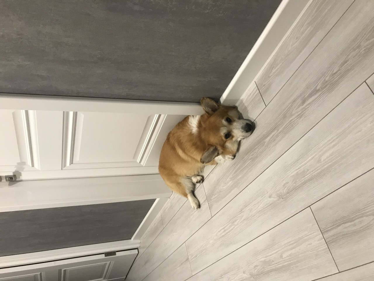 ���������� #2316327