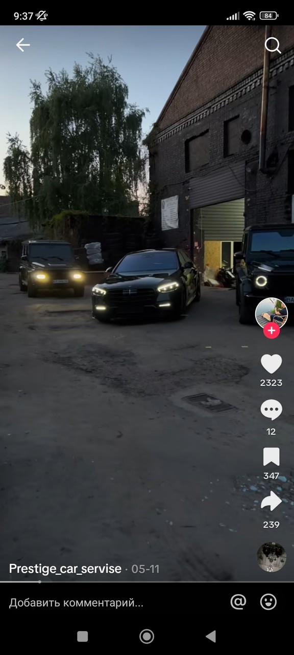 ���������� #2316356