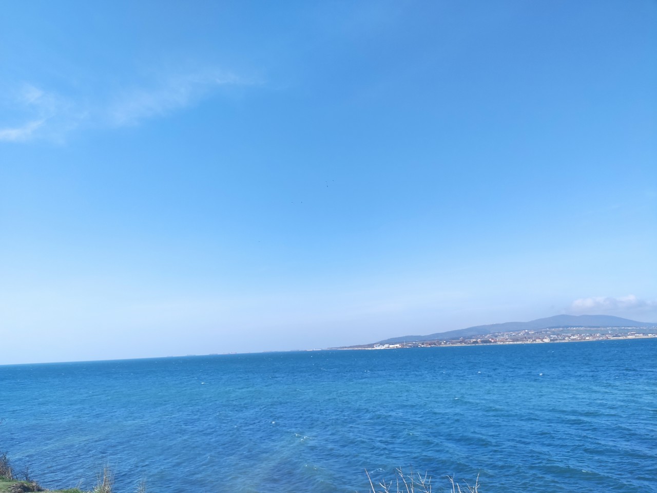 ���������� #2310709