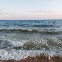 ���������� #2317054