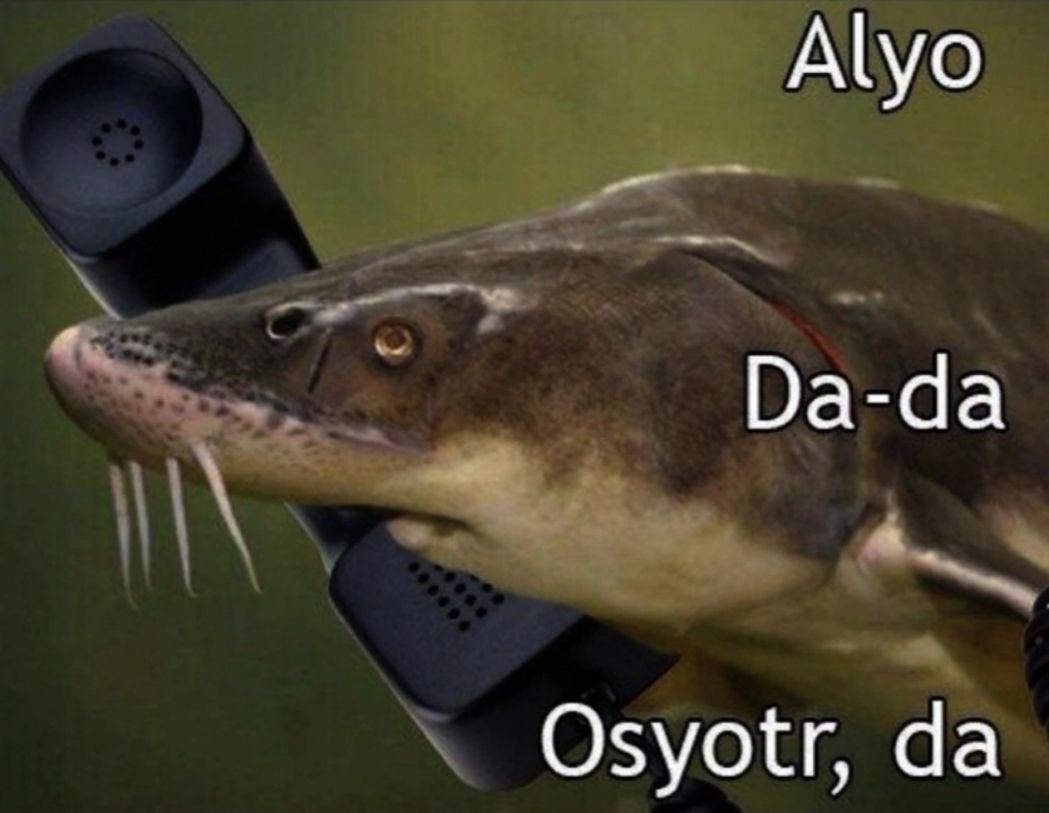 ���������� #2317061