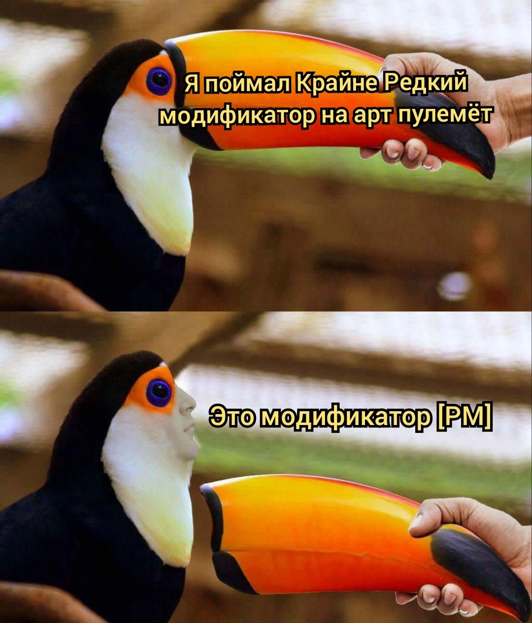 ���������� #2317099