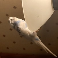 ���������� #2317245