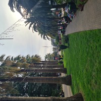 ���������� #2317315