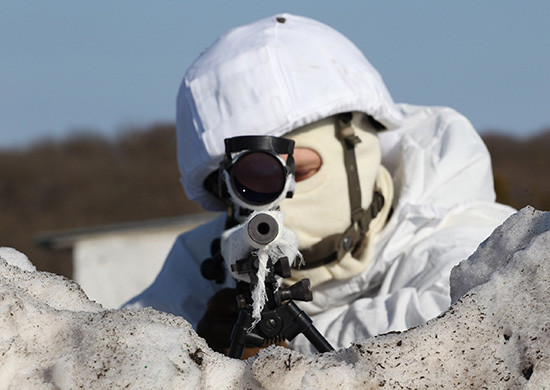 ���������� #2317913