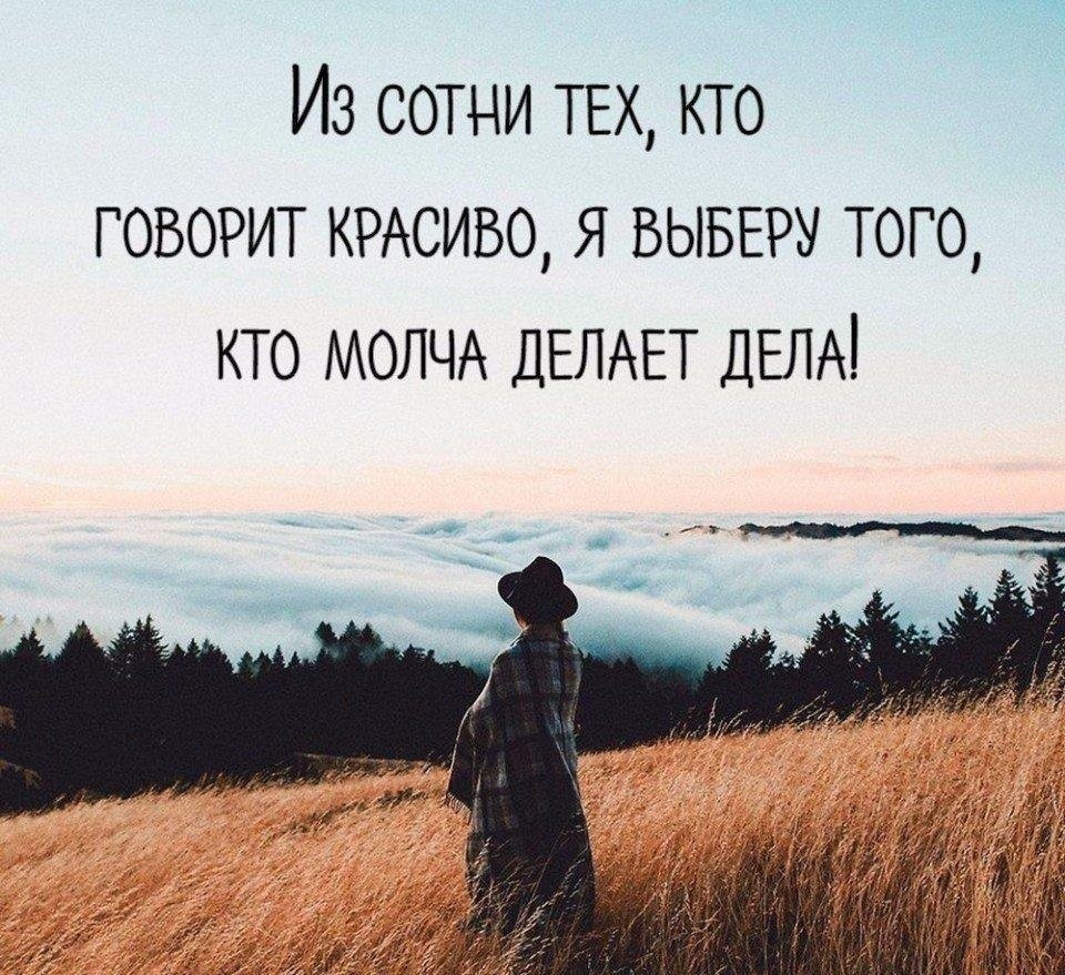 ���������� #2317914