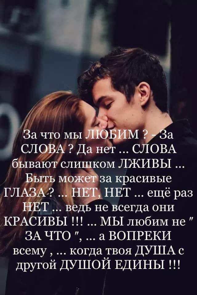 ���������� #2317920