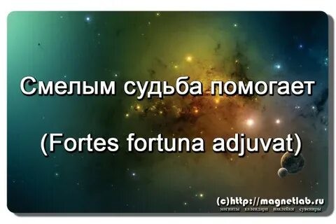 ���������� #2317970