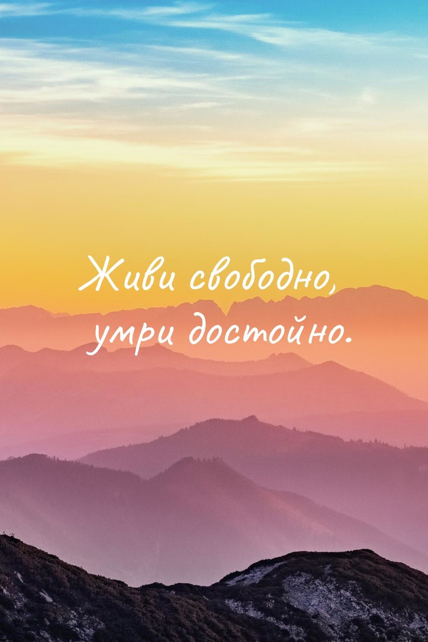���������� #2318026