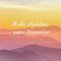 ���������� #2318026