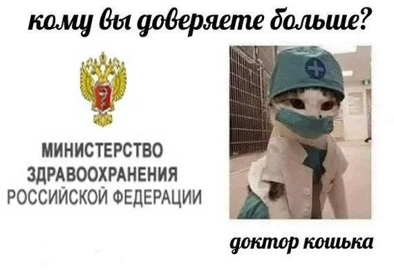 ���������� #2318366