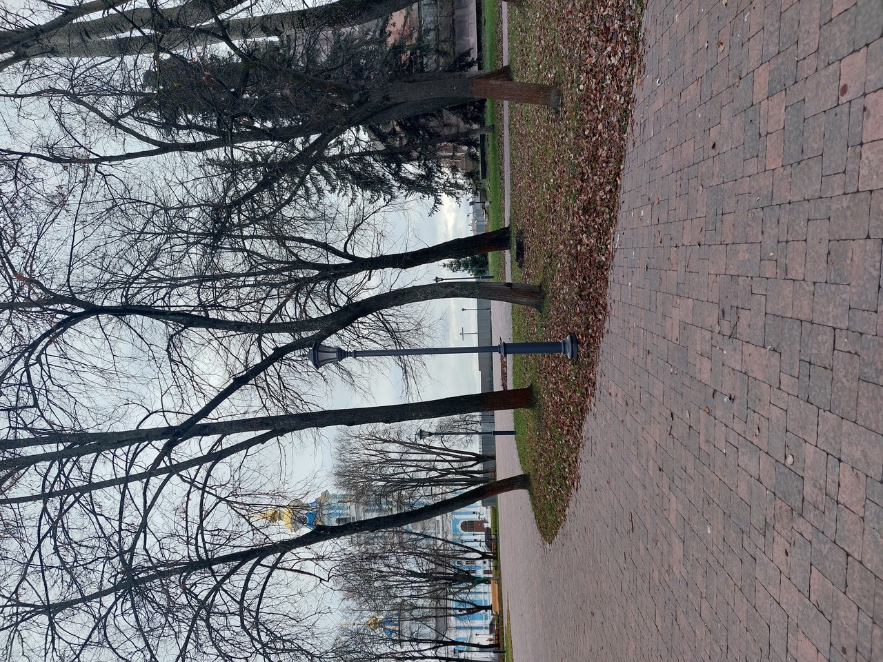 ���������� #2318927